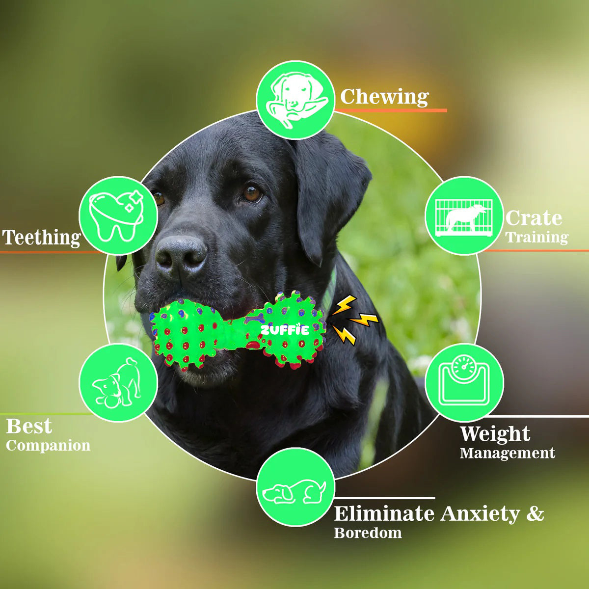 ZUFFIE Dumbbell Interactive Pet Toy for Dogs for Small, Medium & Large Dogs - Green