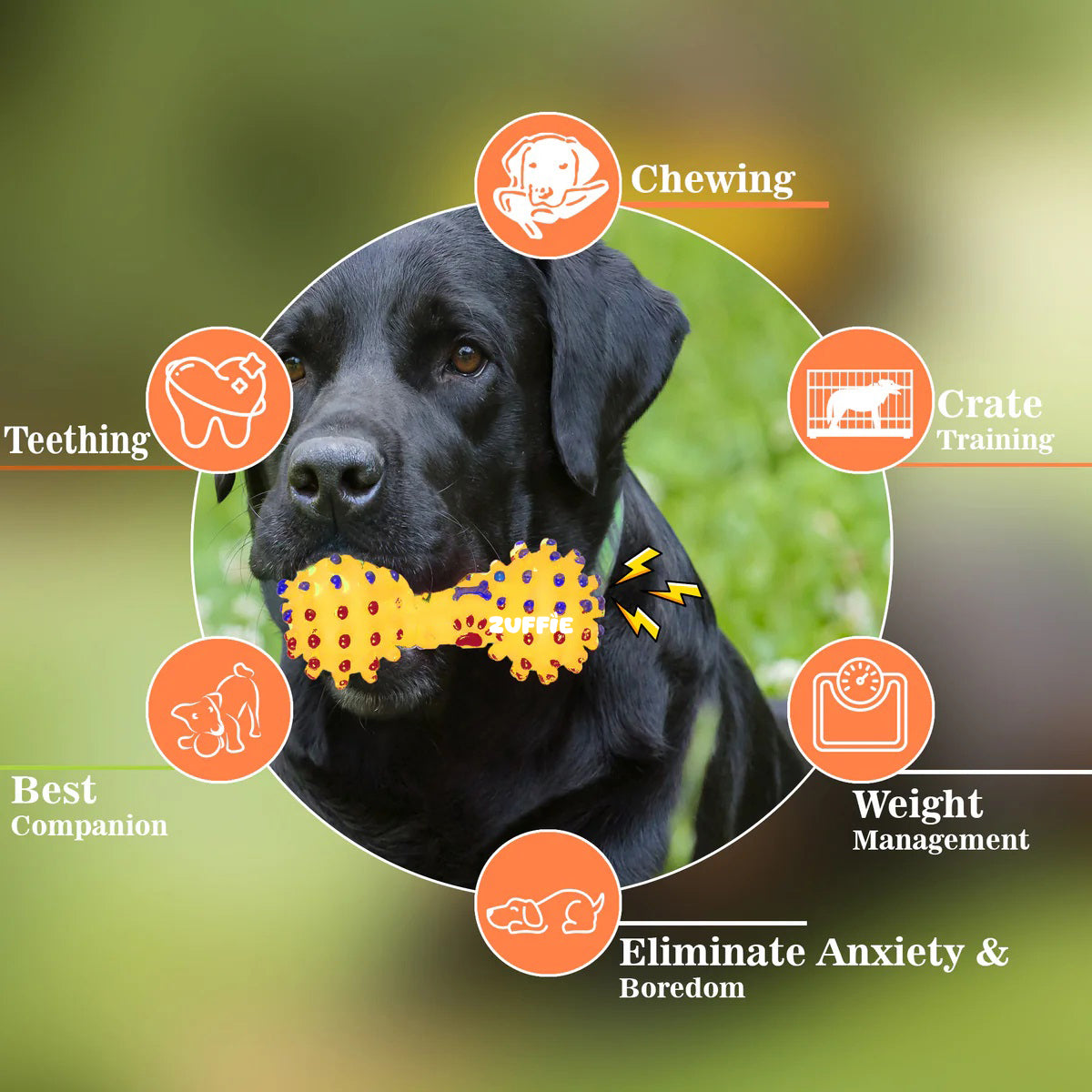 ZUFFIE Pet Dumbbell Toy for Dogs, Squeaky Dumbbell for Playtime & Fetch, Durable & Safe Toy for Small, Medium & Large Dogs