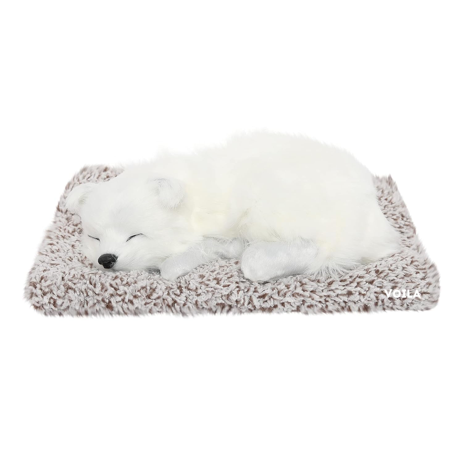 VOILA Sleeping Cute Dog (White) on Carpet for Car Dashboard and Home Decor