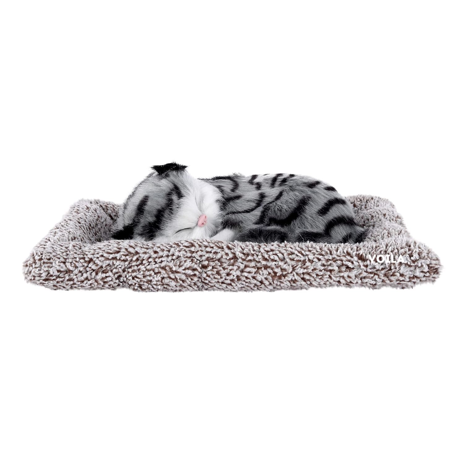 VOILA Sleeping Cute Cat (Black and White) on Carpet for Vehicle (Auto, Car, Bus, Truck) Dashboard and Home Decor