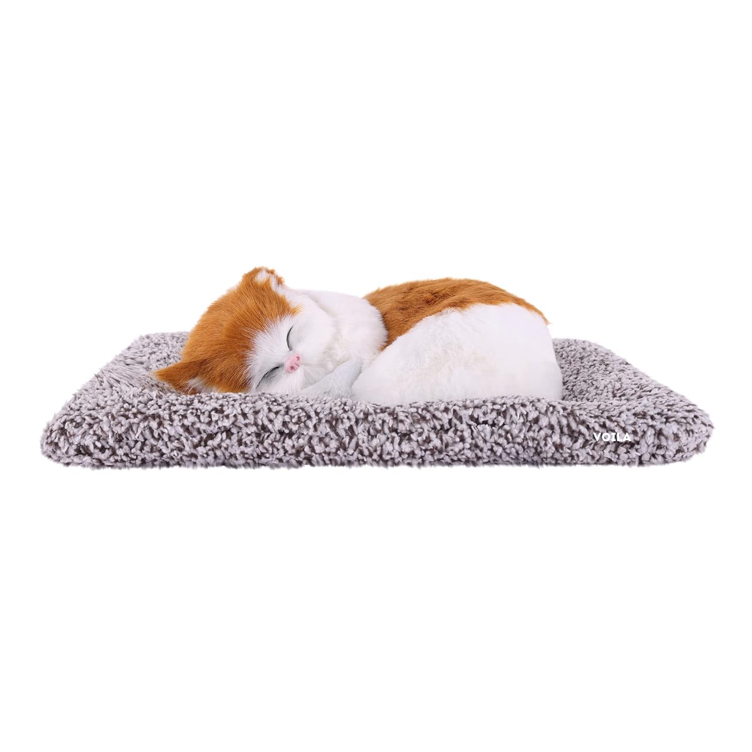 VOILA Sleeping Cute Cat (White and Brown) on Carpet || for Vehicle(Auto,Car,Bus,Truck) Dashboard and Home Decor
