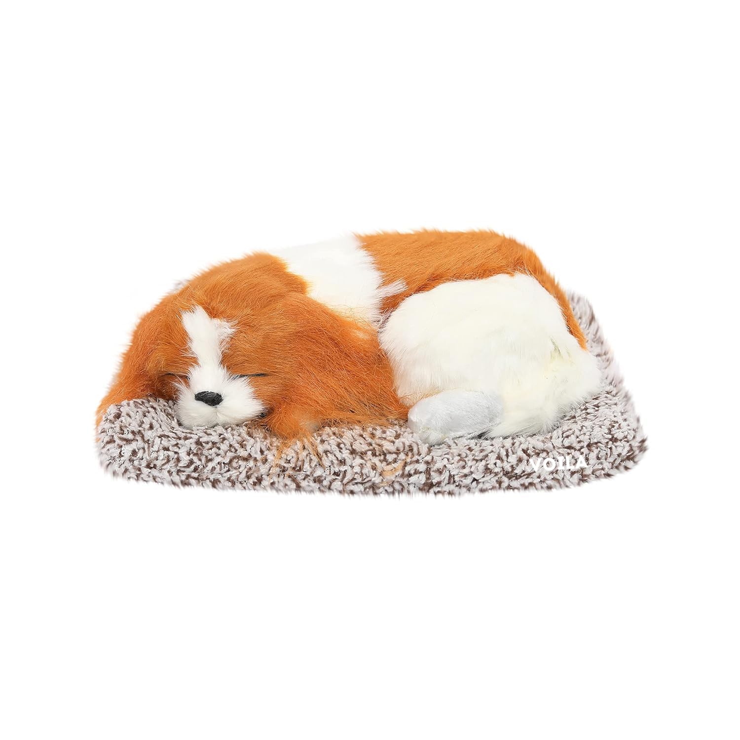 VOILA Sleeping Cute Dog (Brown and White) on Carpet || for Car Dashboard and Home Decor
