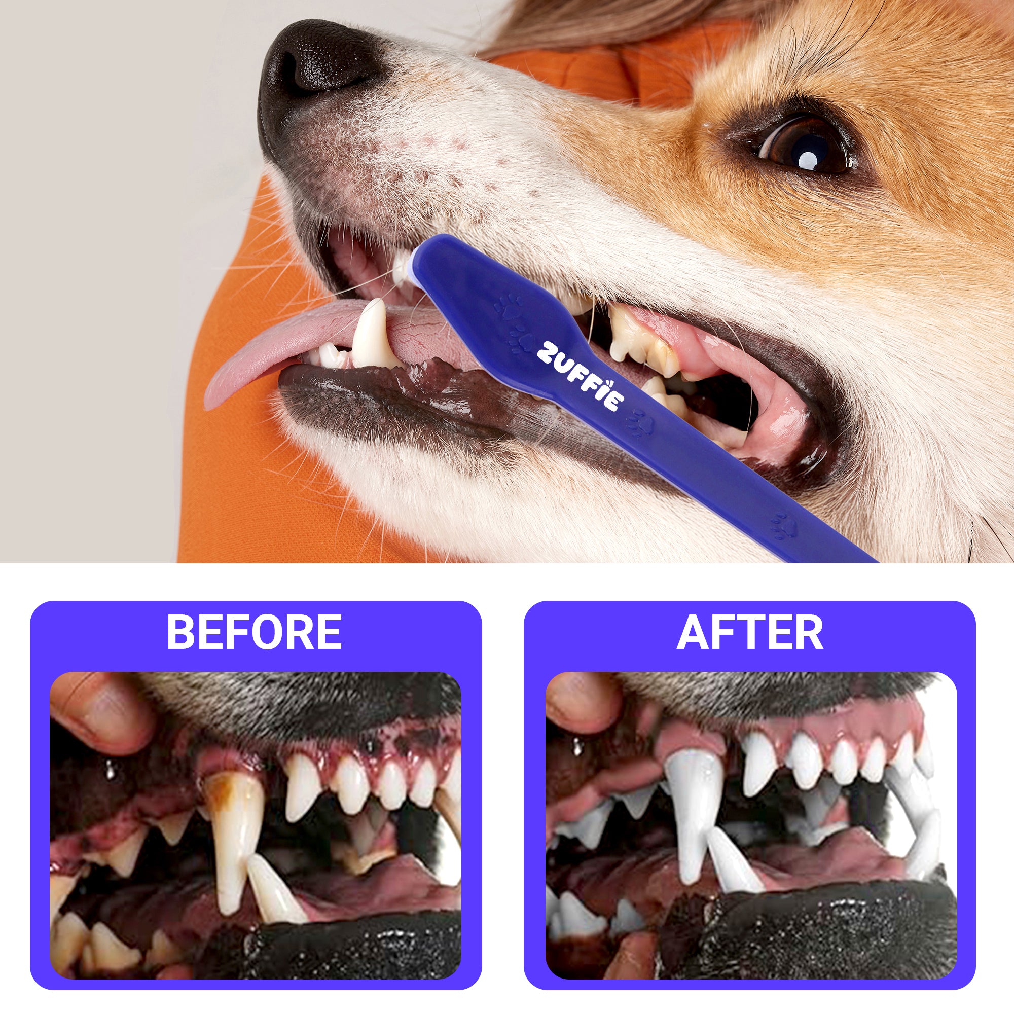 ZUFFIE Dual-Ended Tooth Brush for Dogs with Premium Hard Bristles - Blue