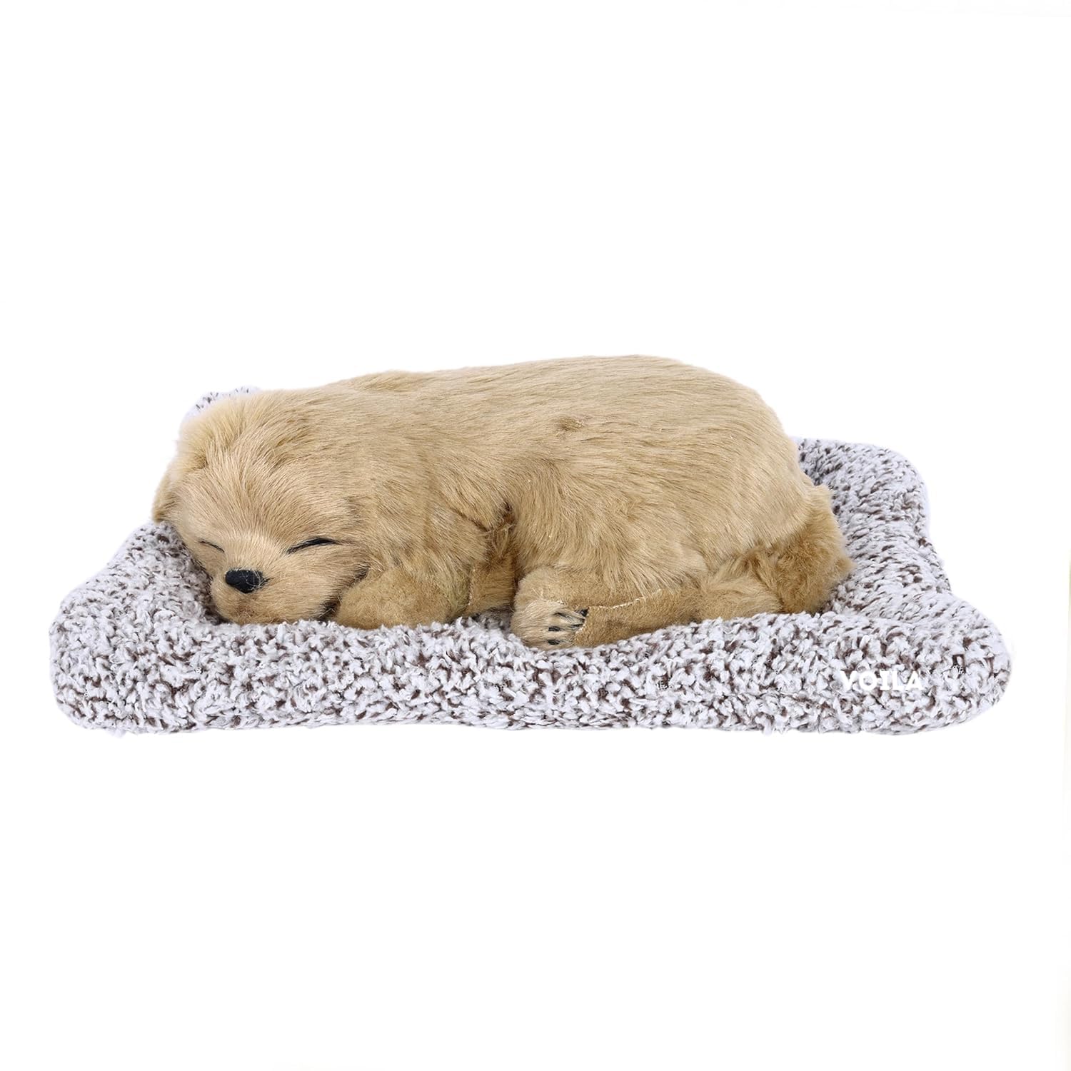 VOILA Sleeping Cut Dog on Carpet for vehicle (Auto, Car, Bus, Truck) Dashboard and Home Decor