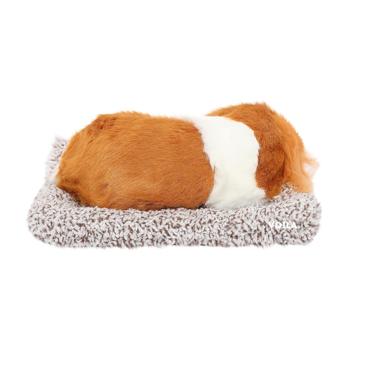 VOILA Sleeping Cute Dog (Brown and White) on Carpet || for Car Dashboard and Home Decor