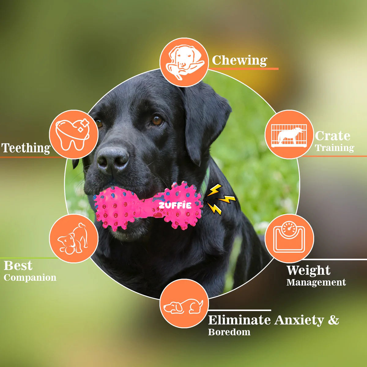 ZUFFIE Pink Pet Dumbbell Interactive Toy for Dogs For Small, Medium & Large Dogs