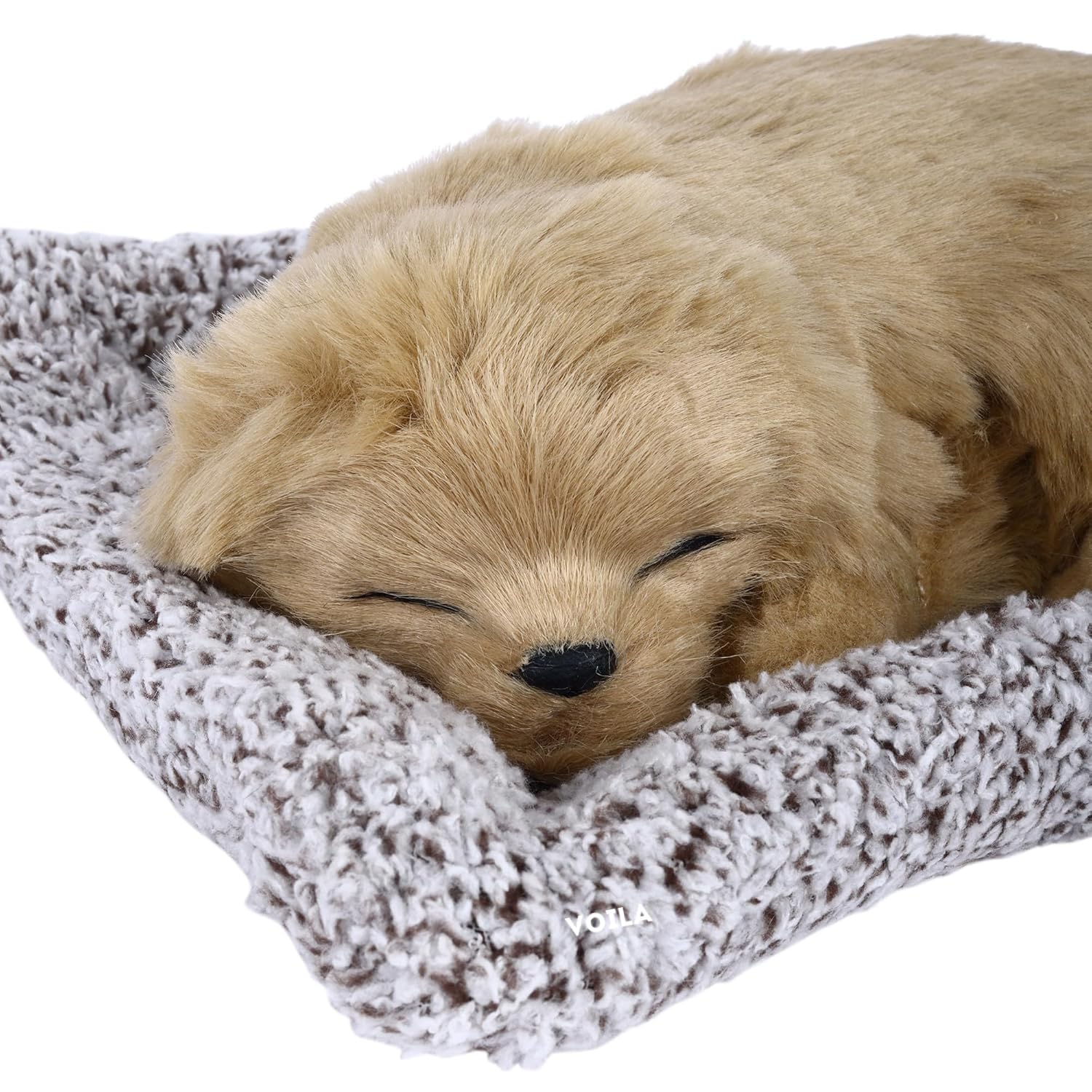 VOILA Sleeping Cut Dog on Carpet for vehicle (Auto, Car, Bus, Truck) Dashboard and Home Decor