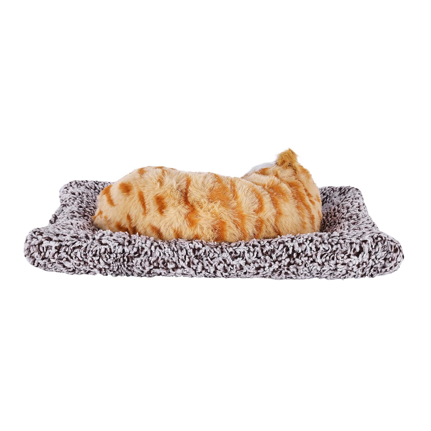 VOILA Sleeping Cute Cat (Brown) on Carpet for Vehicle (Auto, Car, Bus, Truck) Dashboard and Home Decor