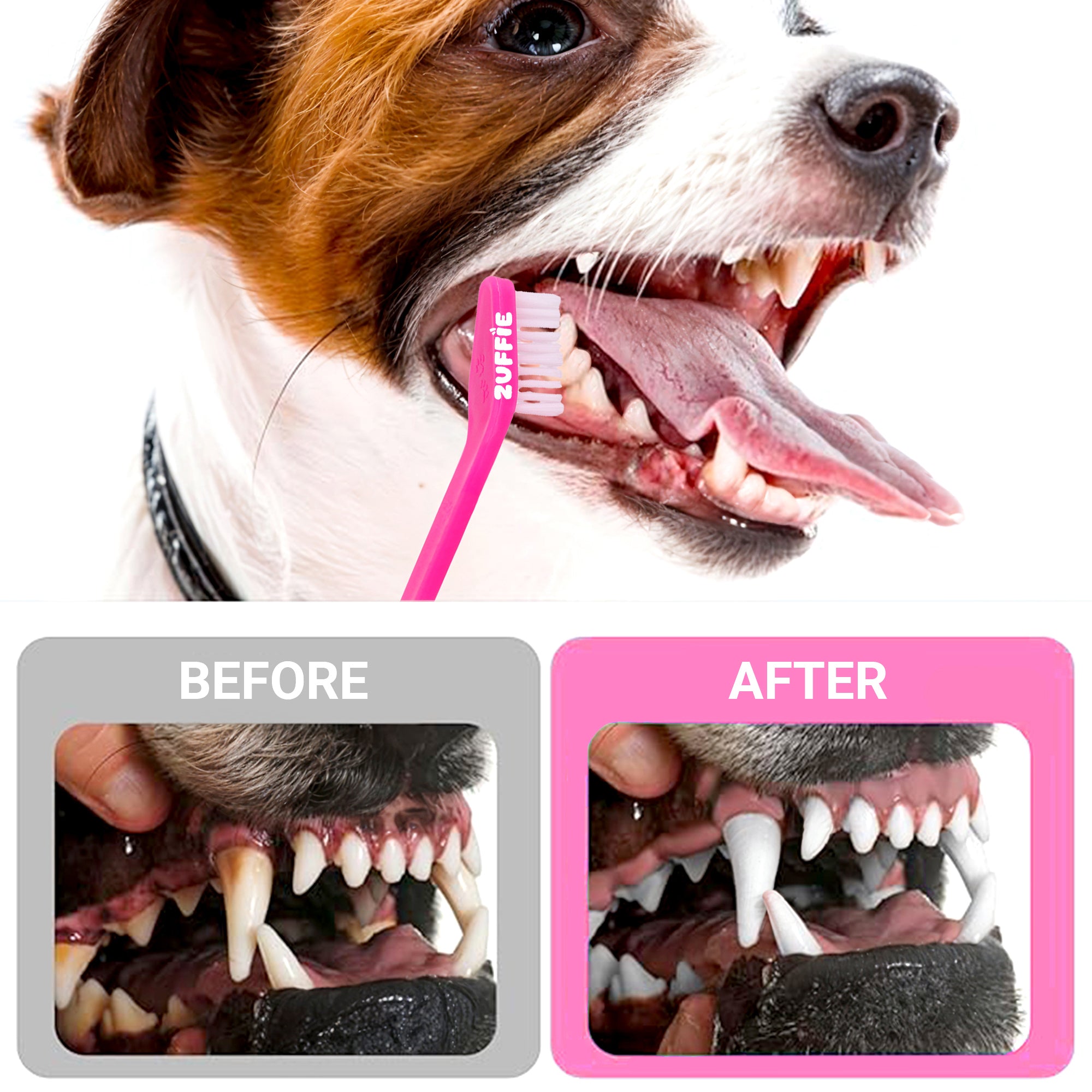 ZUFFIE Dual-Ended Tooth Brush for Dogs with Premium Hard Bristles - Pink