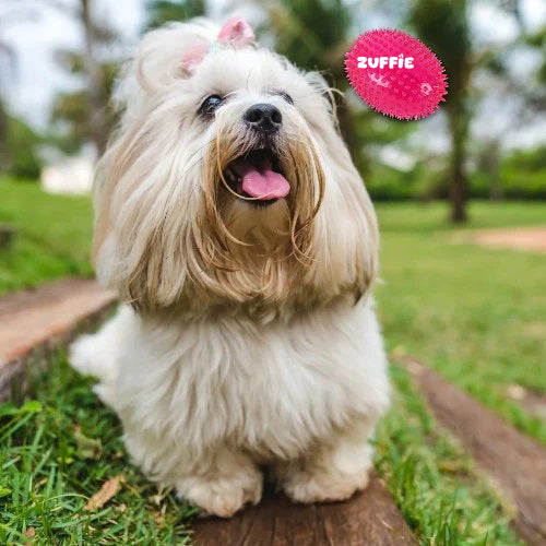 ZUFFIE Spiky Rubber Dog Toy, Durable and Chew-Resistant, Safe, Bouncy Fetch For Medium, Large & Extra Large Dogs