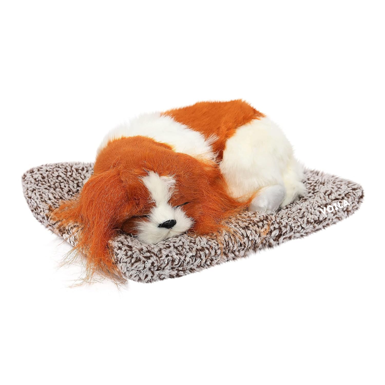 VOILA Sleeping Cute Dog (Brown and White) on Carpet || for Car Dashboard and Home Decor