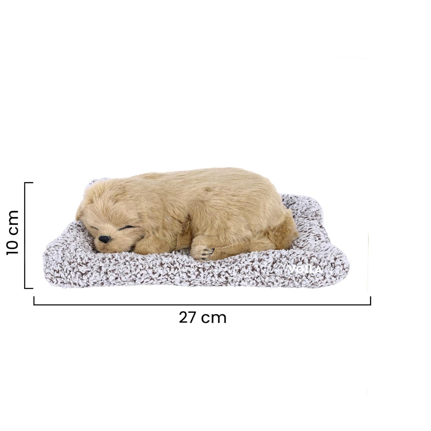 VOILA Sleeping Cut Dog on Carpet for vehicle (Auto, Car, Bus, Truck) Dashboard and Home Decor