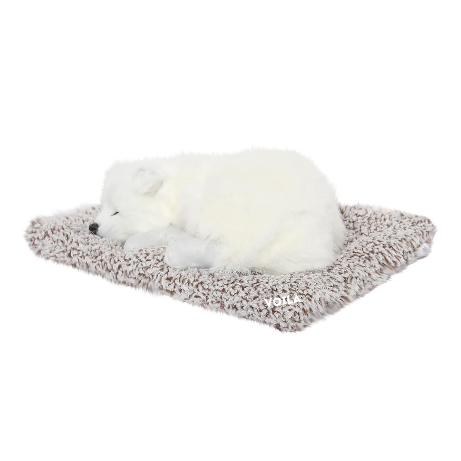 VOILA Sleeping Cute Dog (White) on Carpet for Car Dashboard and Home Decor