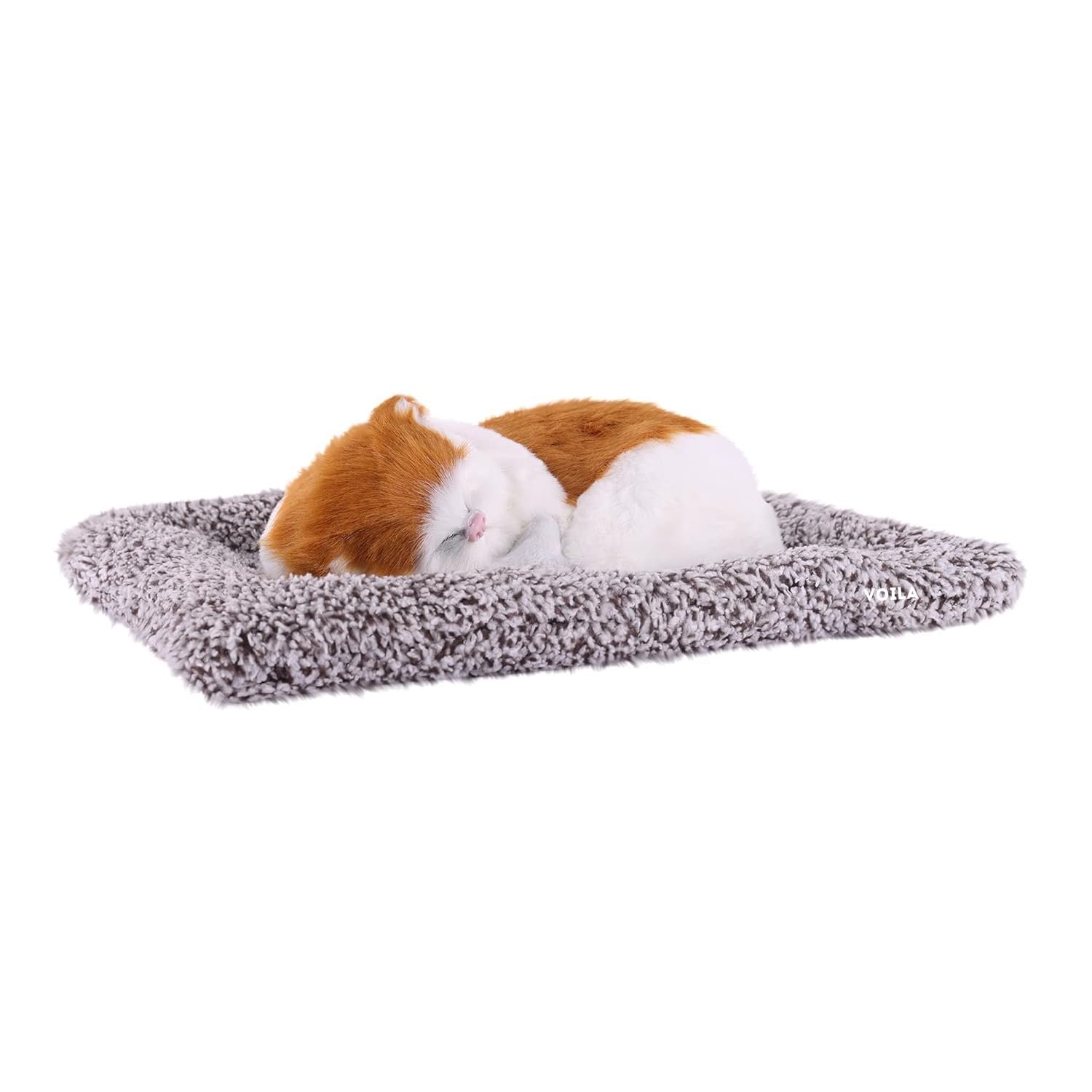 VOILA Sleeping Cute Cat (White and Brown) on Carpet || for Vehicle(Auto,Car,Bus,Truck) Dashboard and Home Decor