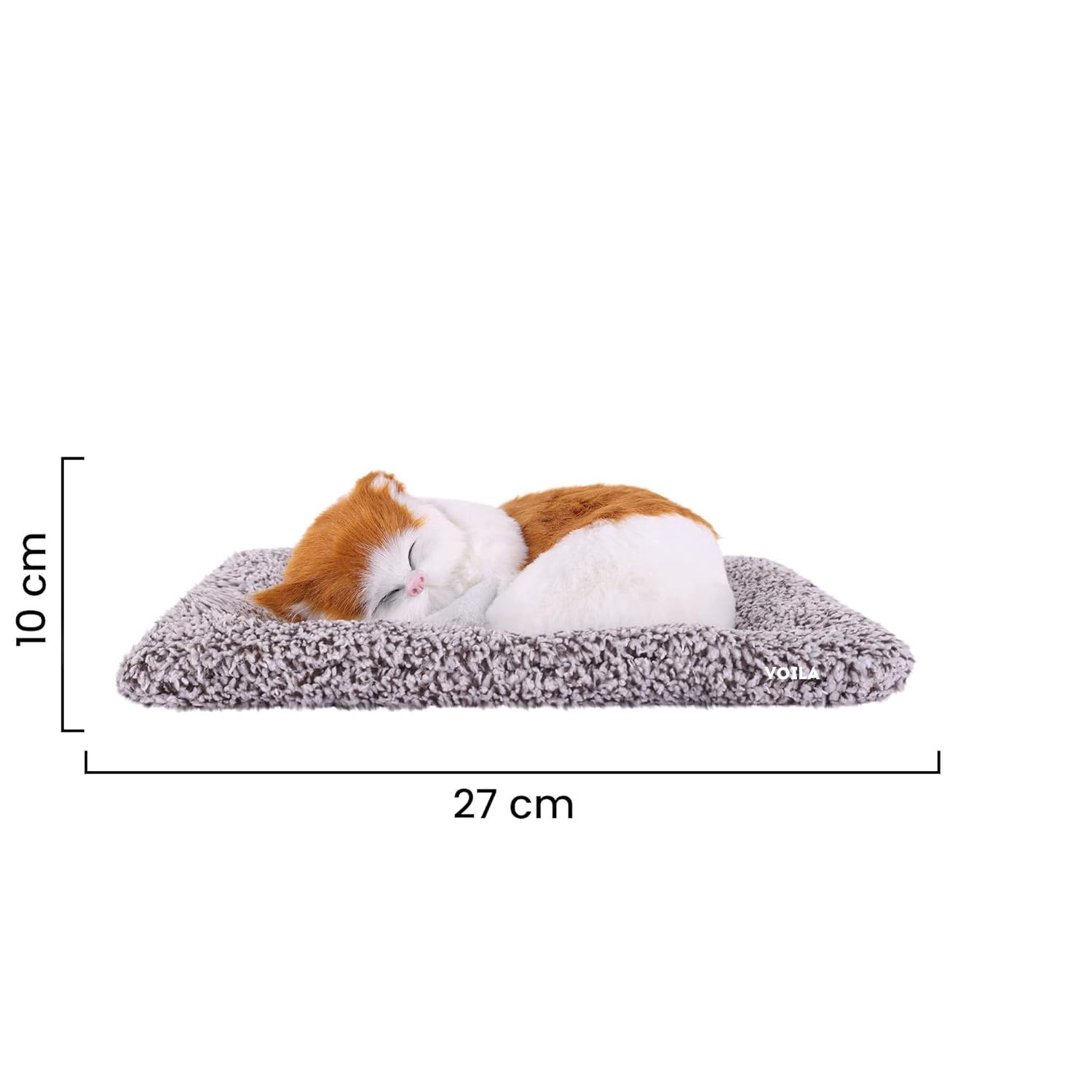 VOILA Sleeping Cute Cat (White and Brown) on Carpet || for Vehicle(Auto,Car,Bus,Truck) Dashboard and Home Decor