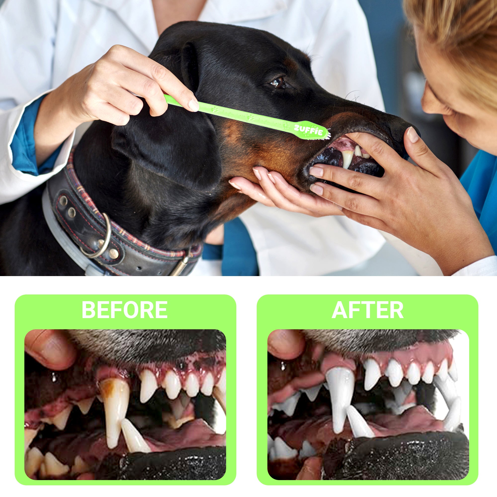 ZUFFIE Dual-Ended Tooth Brush for Dogs with Premium Hard Bristles - Green