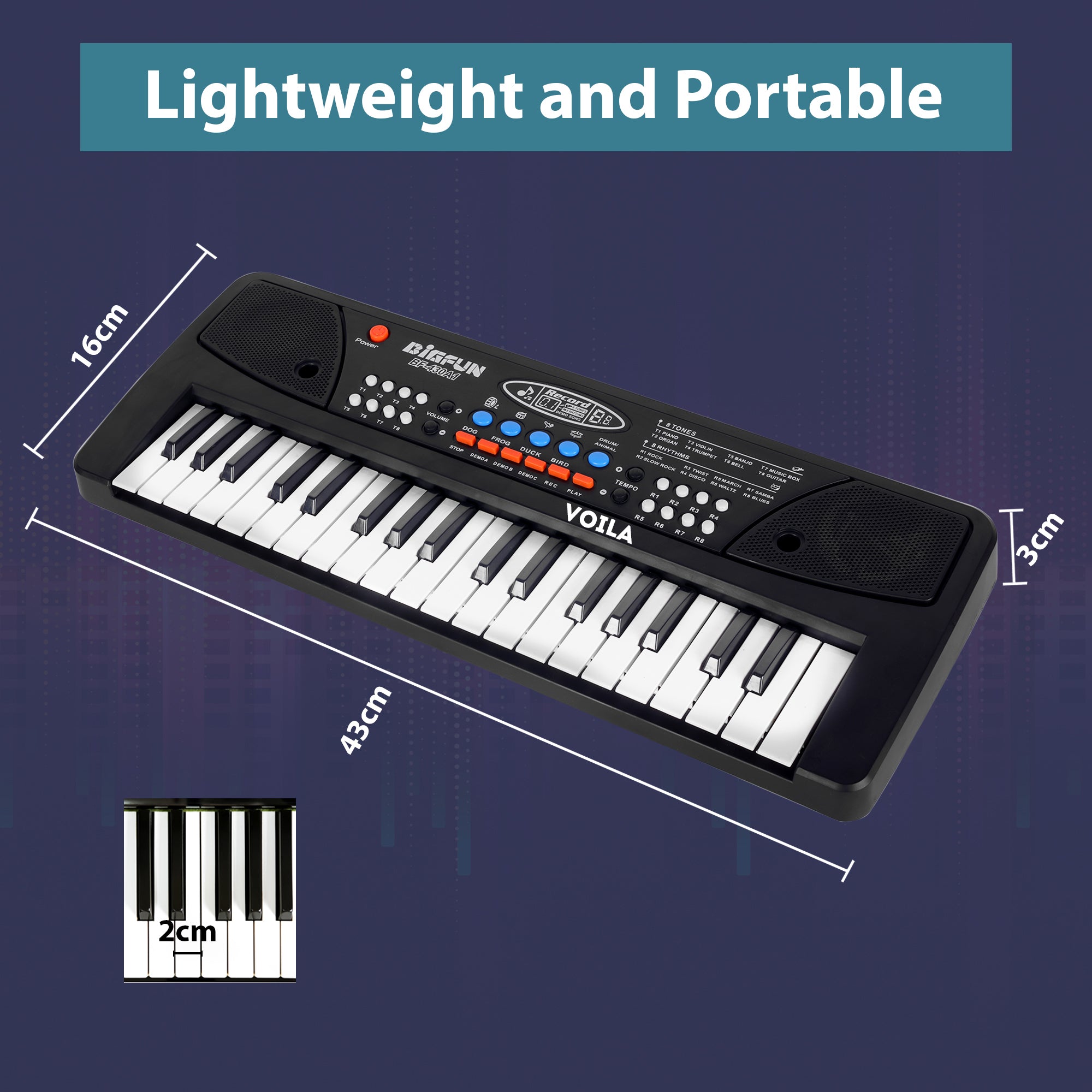 VOILA 67 Keys Piano Keyboard for Kids, Portable Keyboard Piano Early Learning Educational Electronic Musical Instrument Toys Gifts for little Boys and Girls (Black)