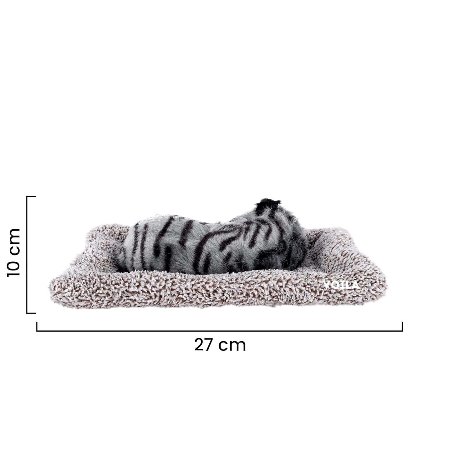 VOILA Sleeping Cute Cat (Black and White) on Carpet for Vehicle (Auto, Car, Bus, Truck) Dashboard and Home Decor