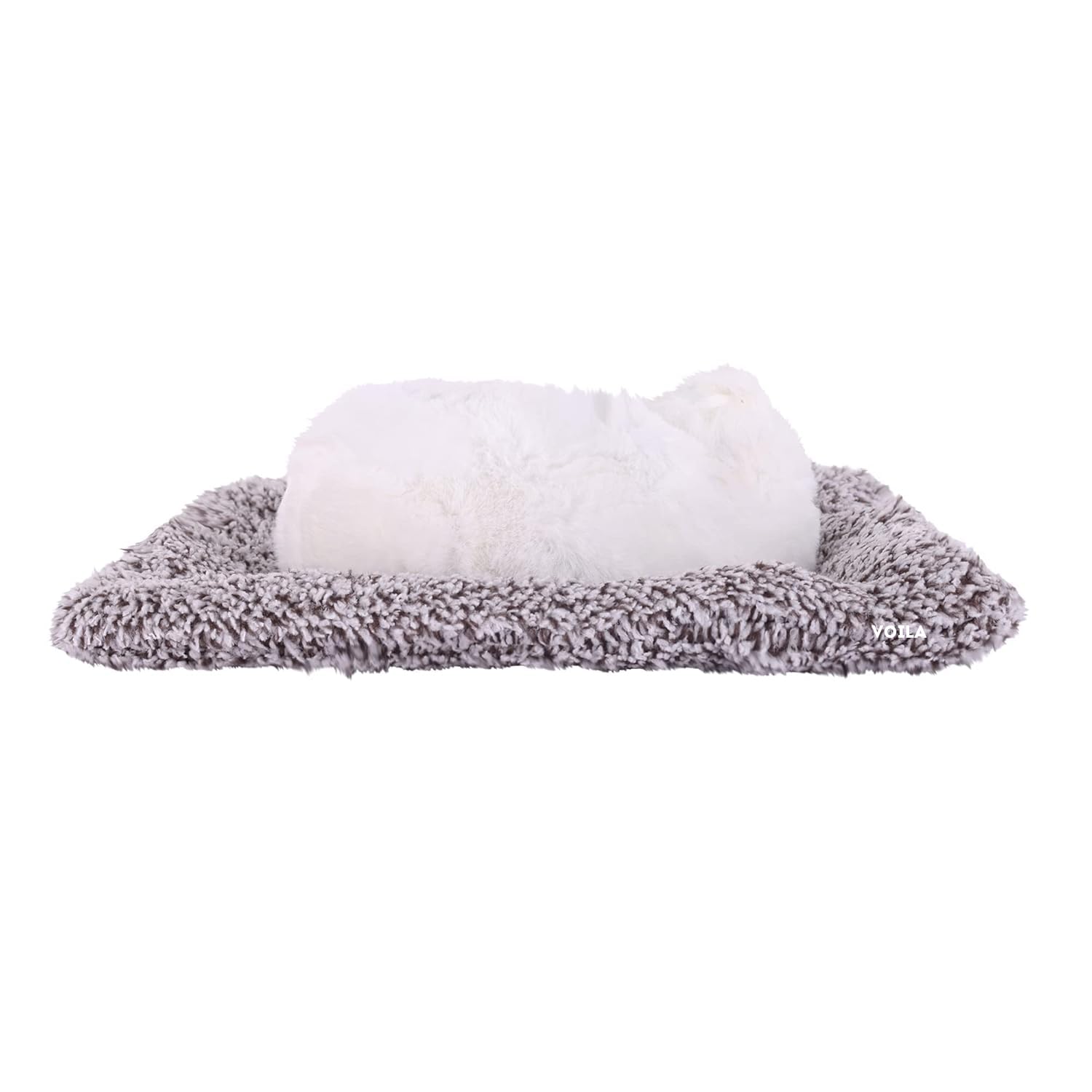 VOILA Sleeping Cat on Carpet for Car Dashboard Office Desk (White)