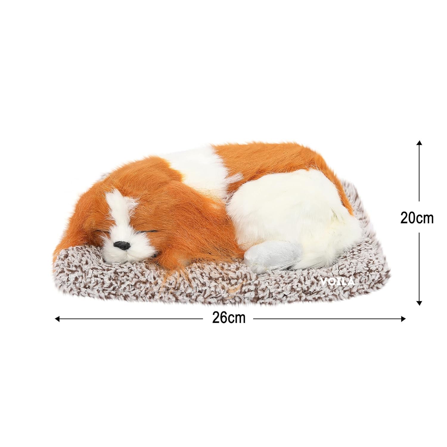 VOILA Sleeping Cute Dog (Brown and White) on Carpet || for Car Dashboard and Home Decor