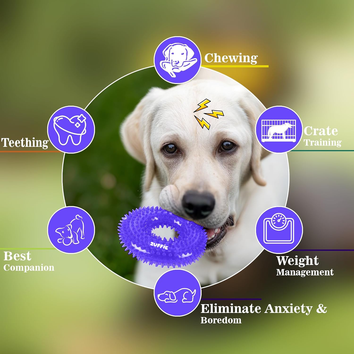 ZUFFIE Dog Spiky Ring Toy - Durable & Bouncy Rubber Chew Toy - Blue