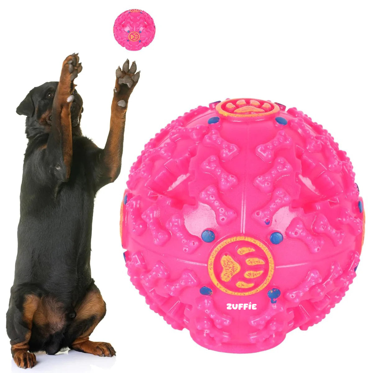 ZUFFIE Plastic Dog Toy Ball, Bouncy Fetch Ball for Small, Medium & Large Dogs, Fun Play & Teething Toy - Pink