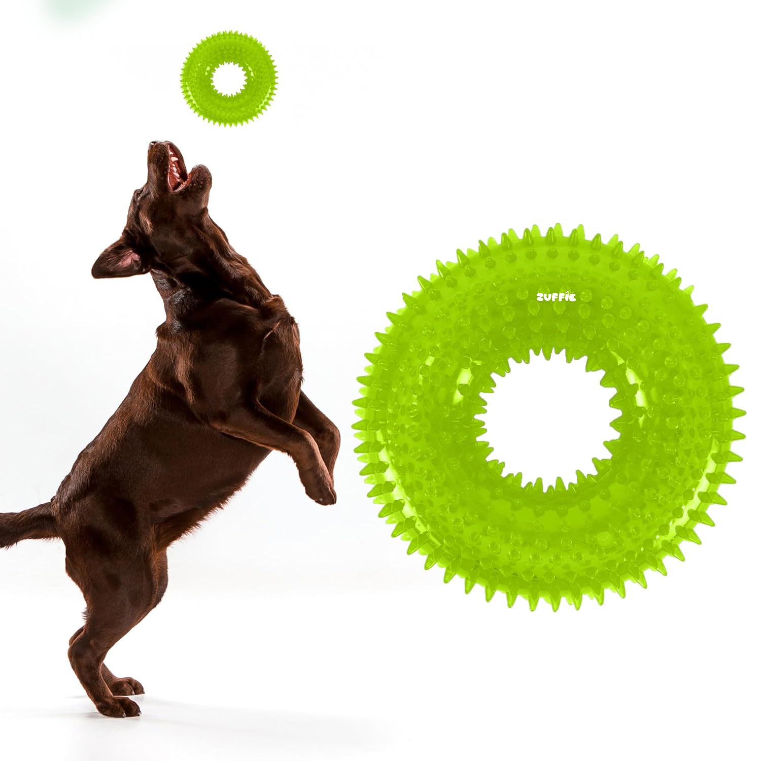 ZUFFIE Dog Spiky Ring Toy - Durable & Bouncy Rubber Chew Toy (Pack of 1) - Green