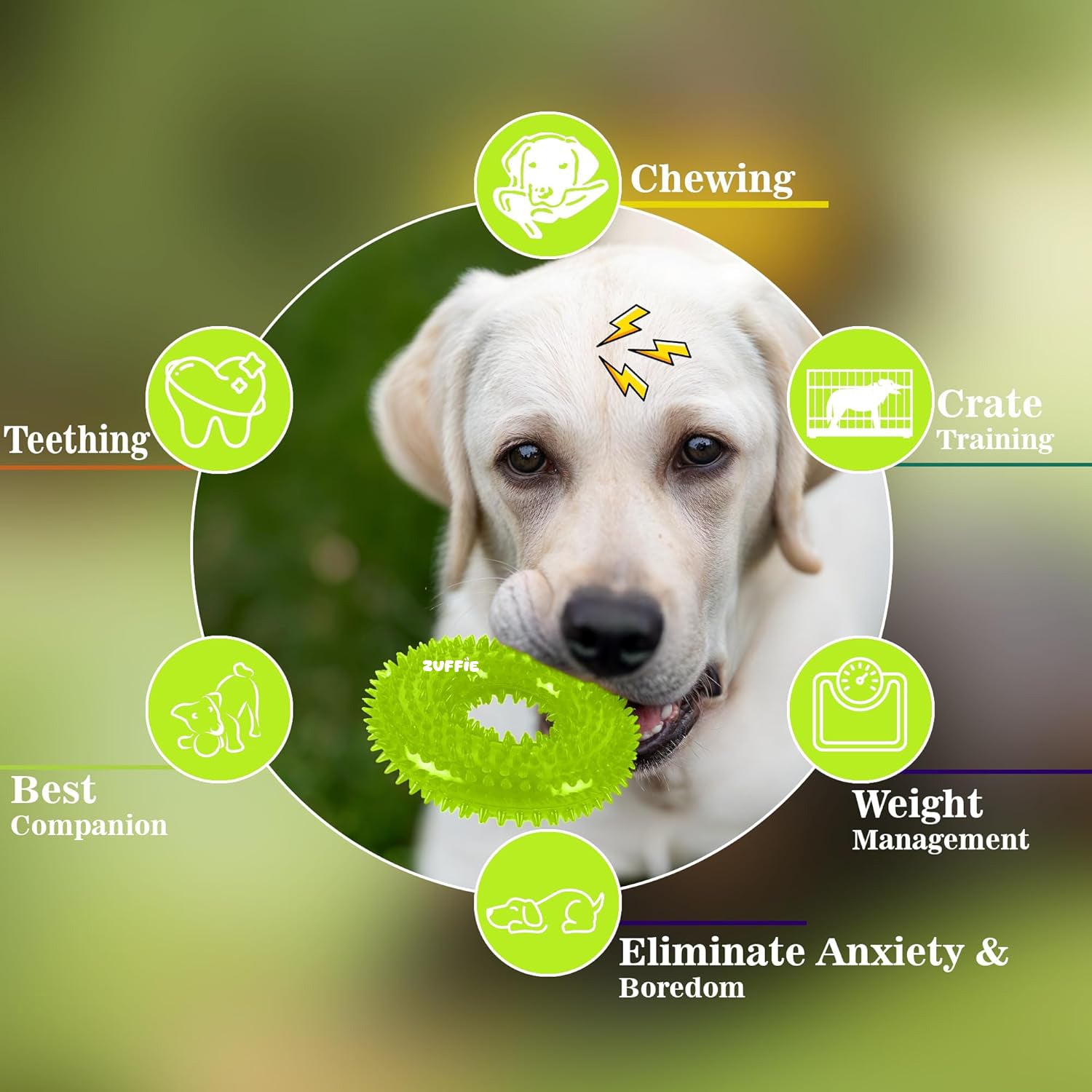 ZUFFIE Dog Spiky Ring Toy - Durable & Bouncy Rubber Chew Toy (Pack of 1) - Green