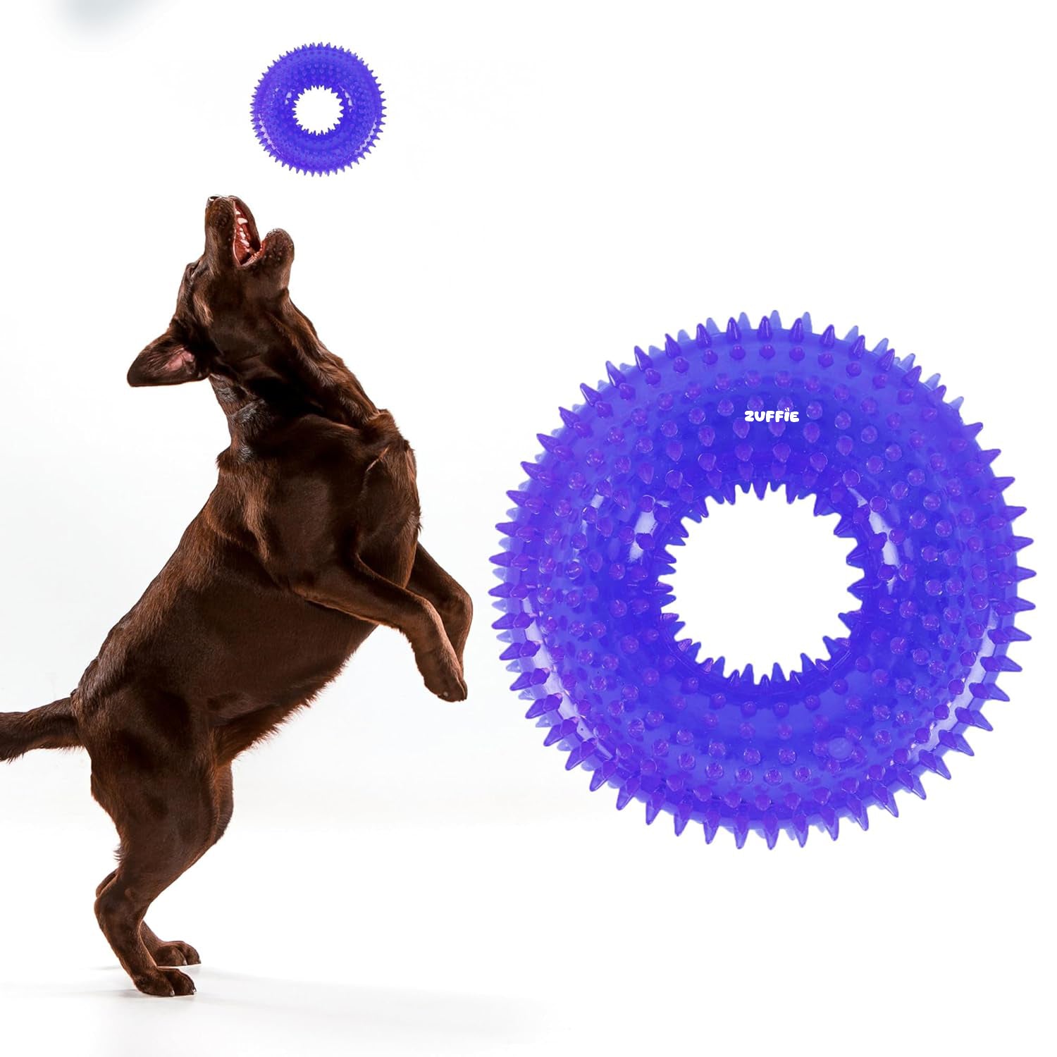 ZUFFIE Dog Spiky Ring Toy - Durable & Bouncy Rubber Chew Toy - Blue