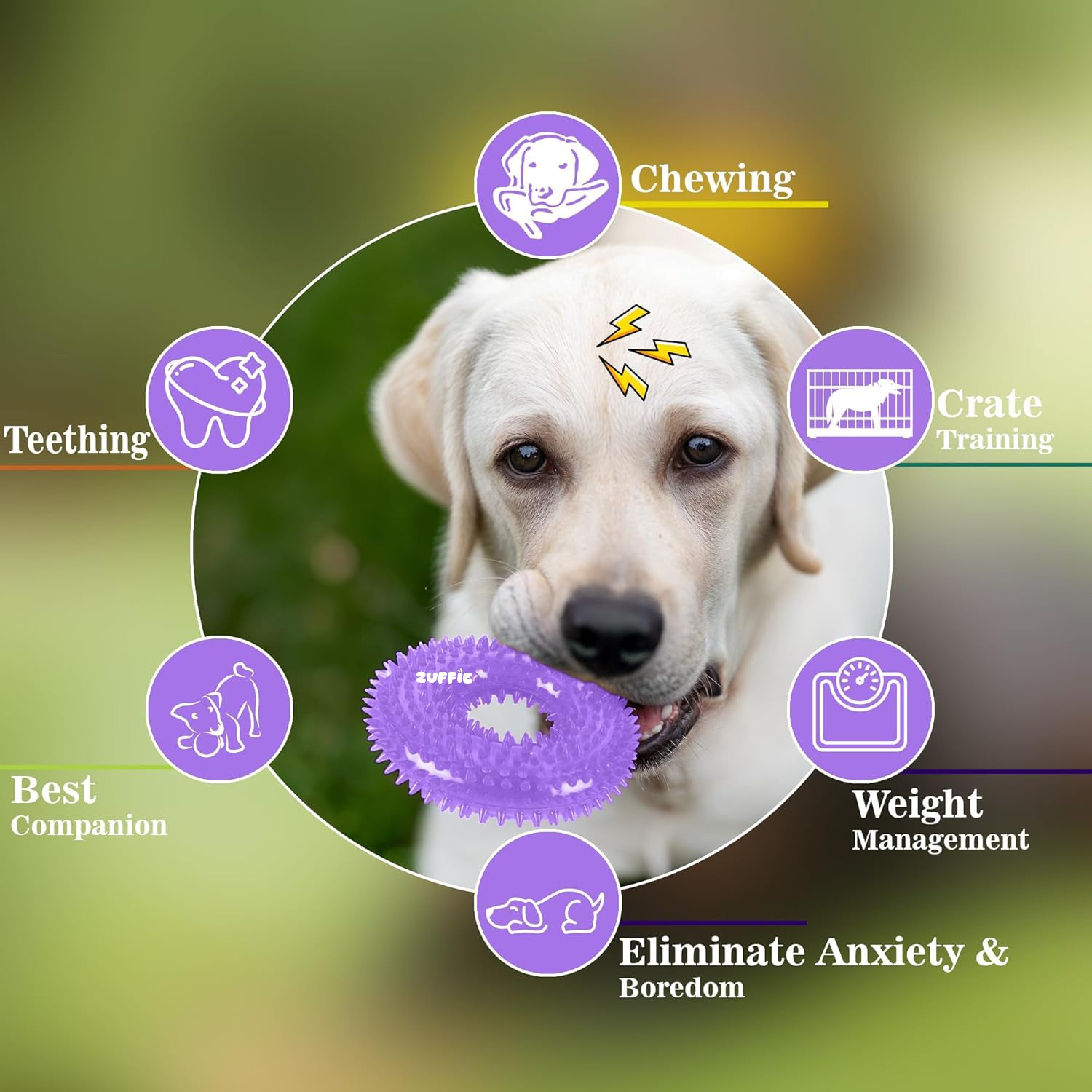 ZUFFIE Dog Spiky Ring Toy - Durable & Bouncy Rubber Chew Toy - Violet