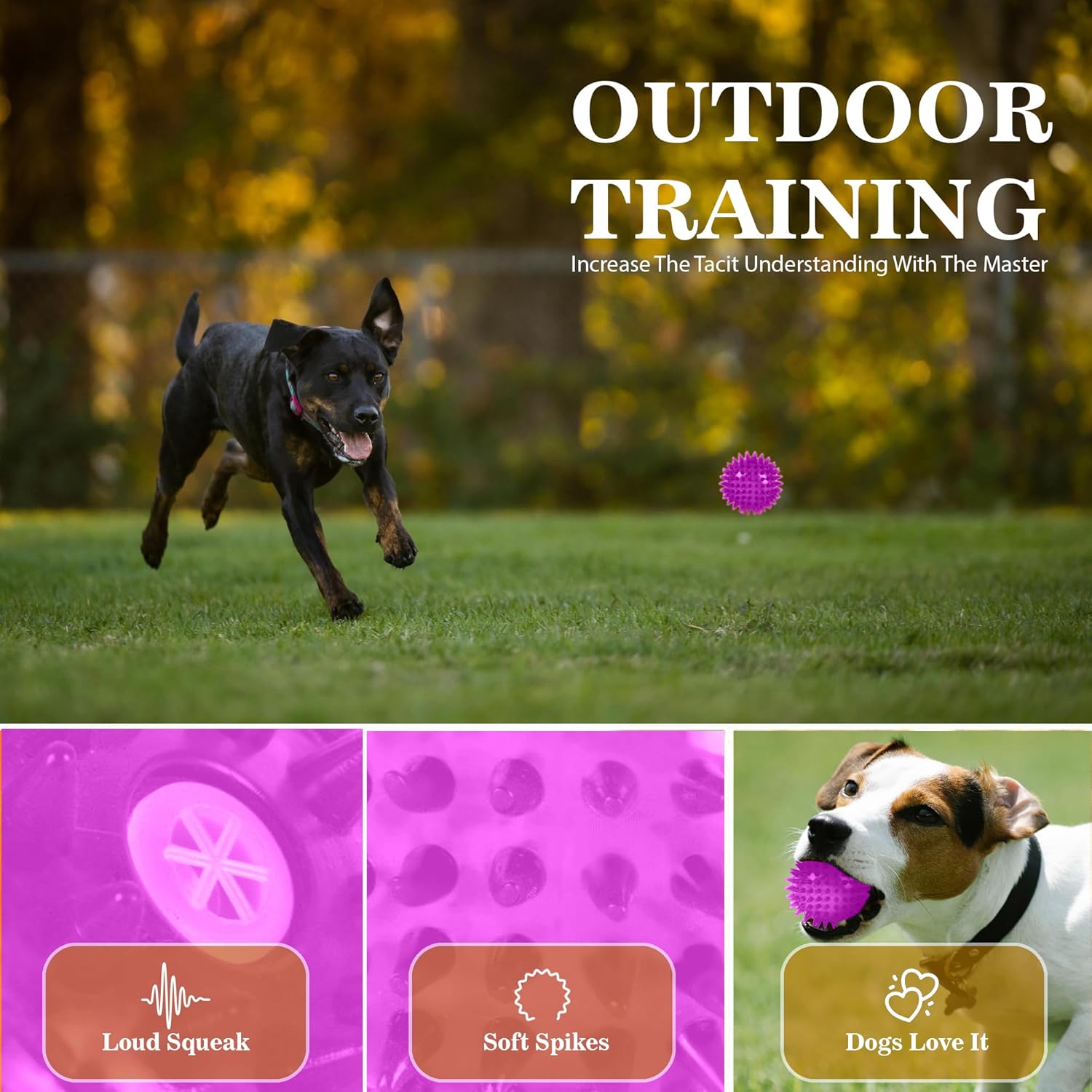 ZUFFIE Spiky Dog Toy Interactive Rubber Ball -Chew Toy for All Breeds - Violet