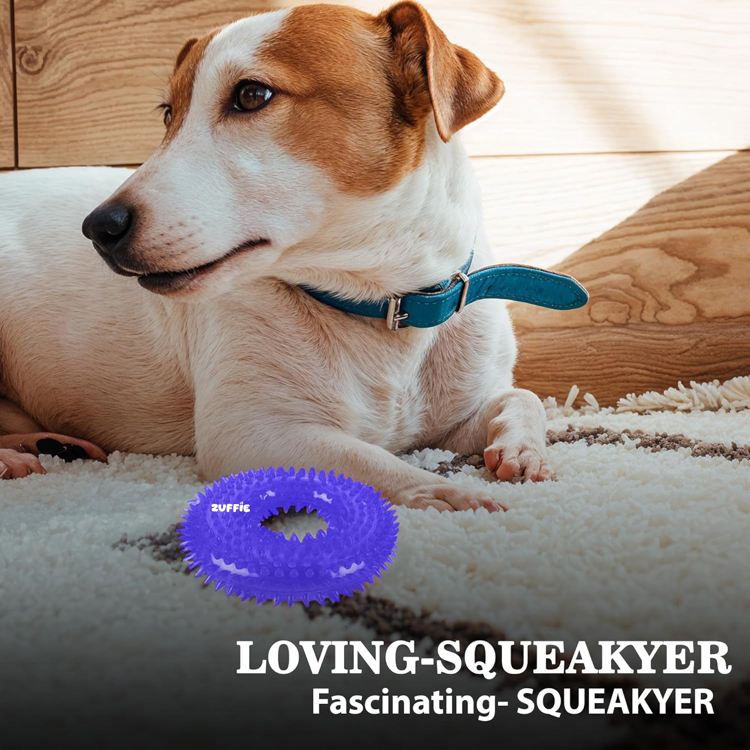 ZUFFIE Dog Spiky Ring Toy - Durable & Bouncy Rubber Chew Toy - Blue