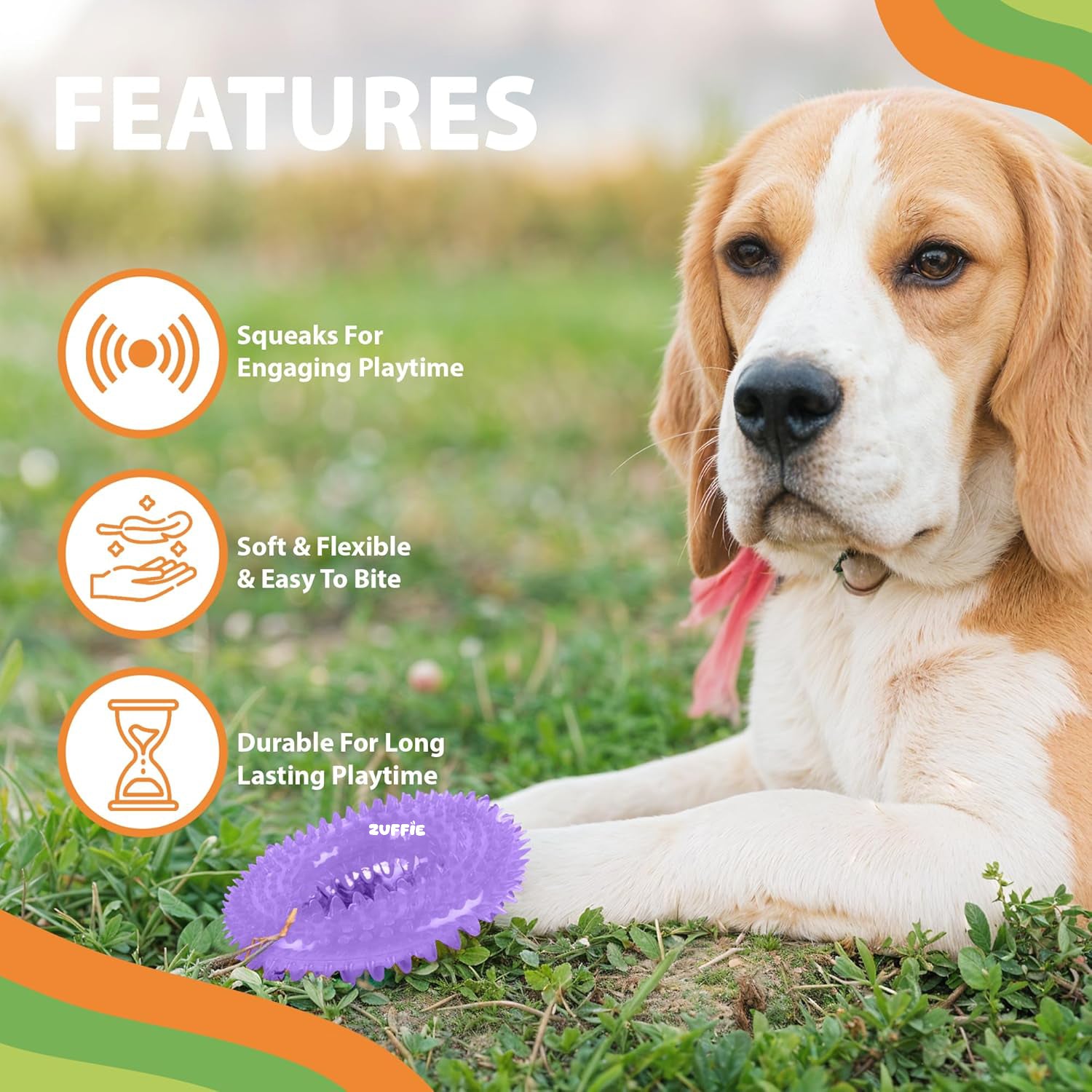 ZUFFIE Dog Spiky Ring Toy - Durable & Bouncy Rubber Chew Toy - Violet