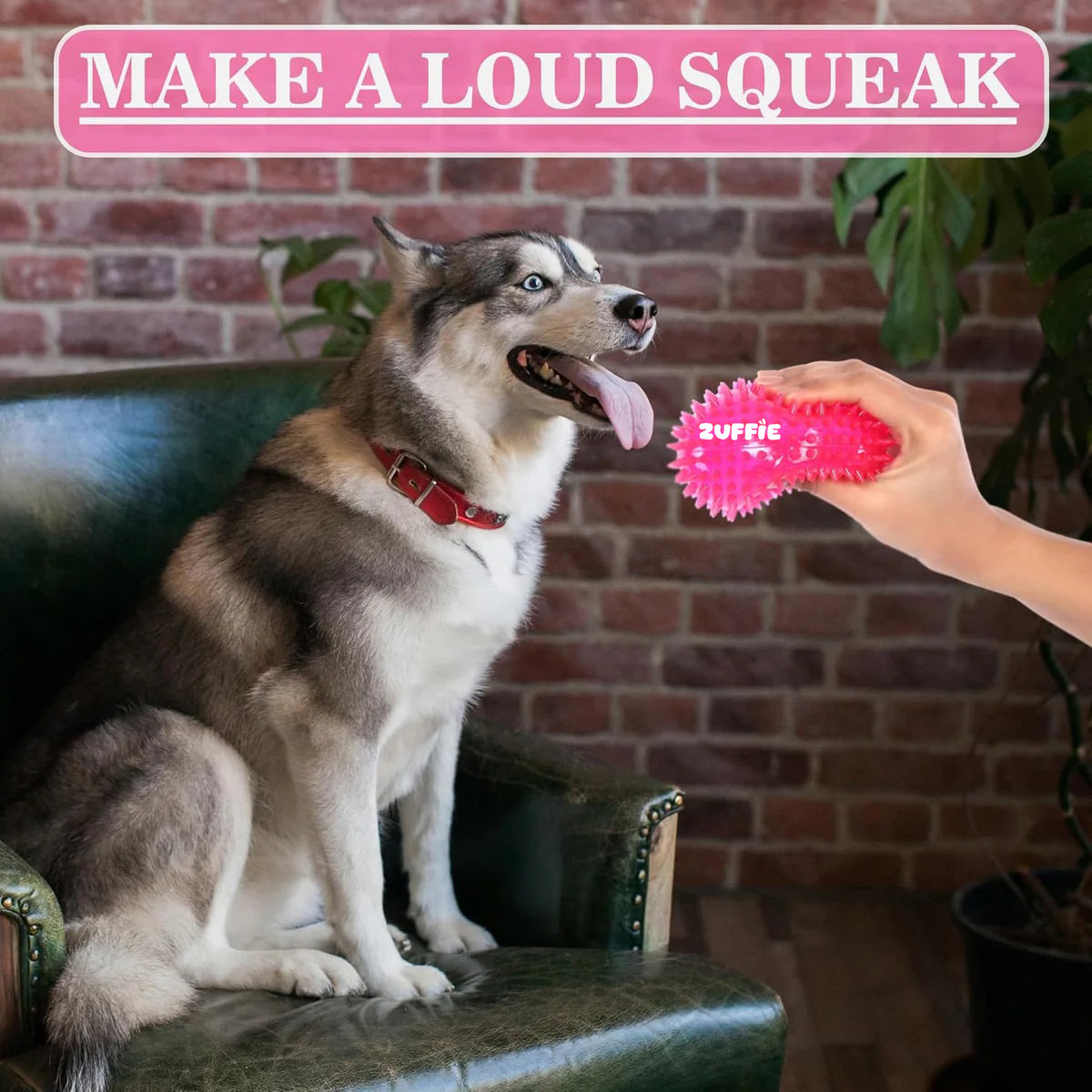 ZUFFIE Spiky Rubber Dog Toy, Durable and Chew-Resistant, Safe, Bouncy Fetch For Medium, Large & Extra Large Dogs