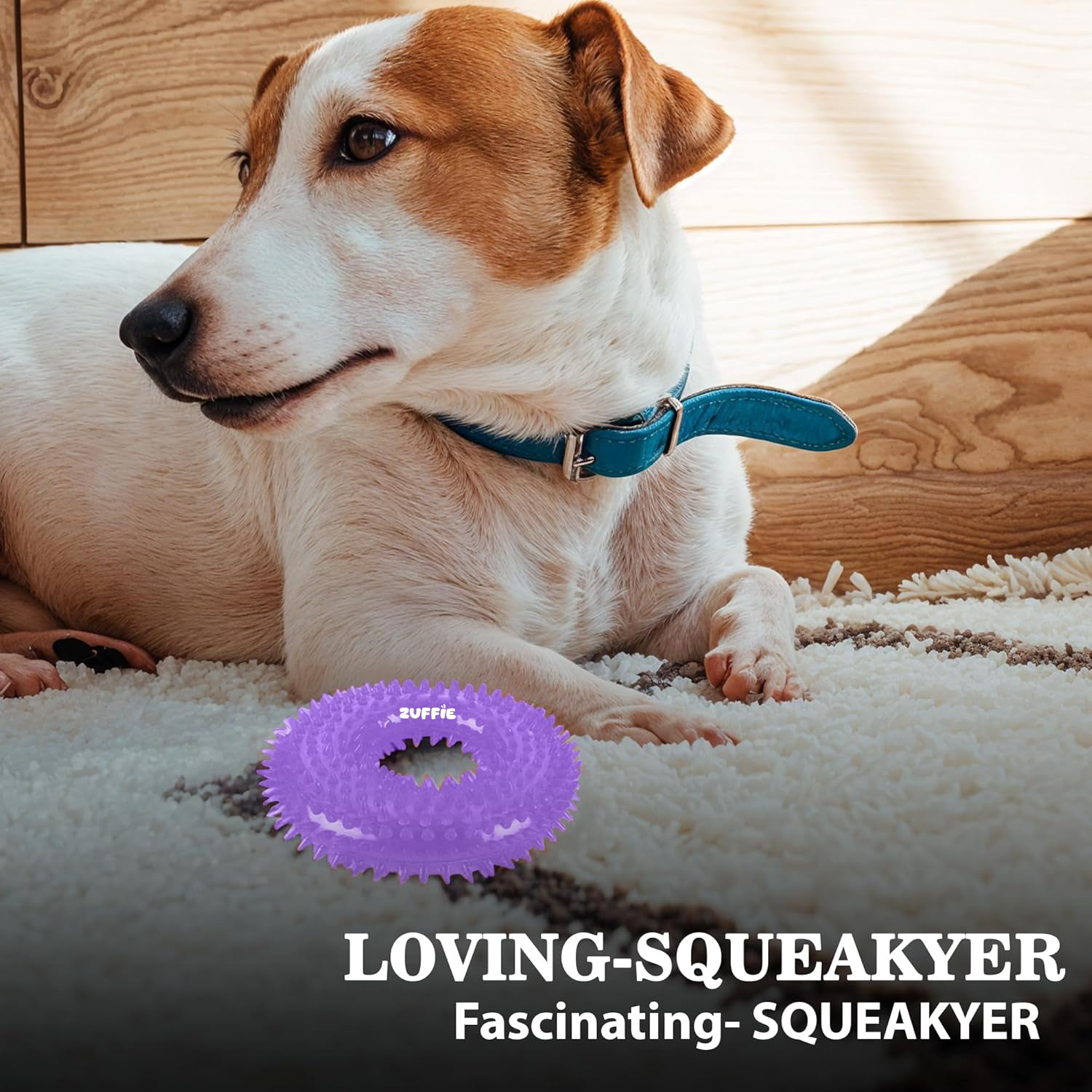 ZUFFIE Dog Spiky Ring Toy - Durable & Bouncy Rubber Chew Toy - Violet