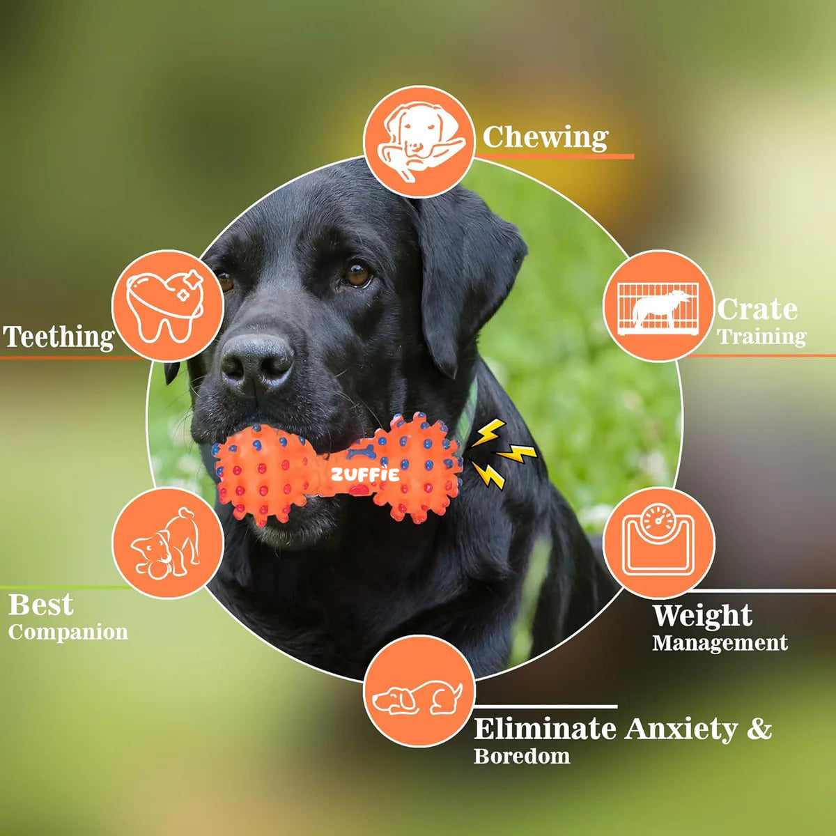 ZUFFIE Pet Dumbbell Toy for Dogs, Small, Medium & Large Breed - Orange