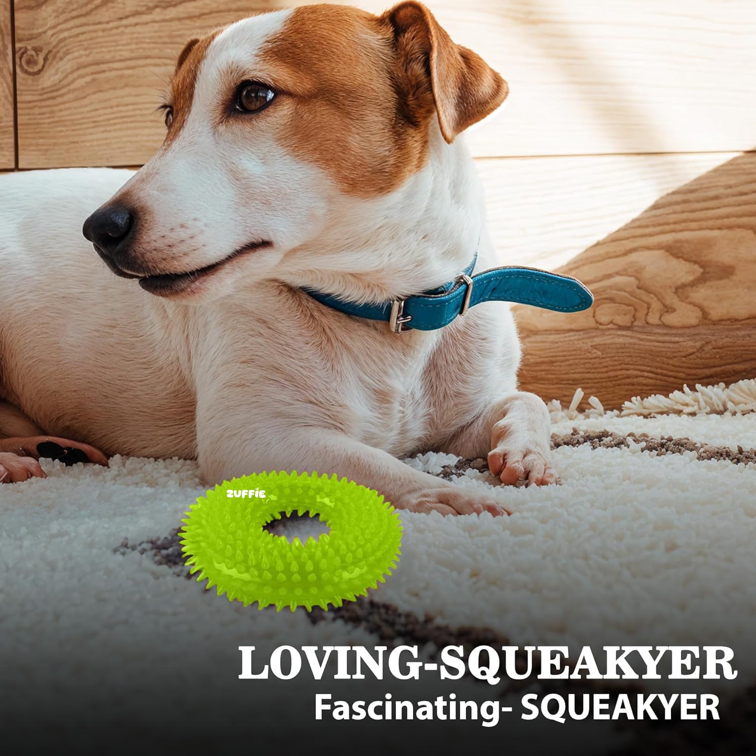 ZUFFIE Dog Spiky Ring Toy - Durable & Bouncy Rubber Chew Toy (Pack of 1) - Green