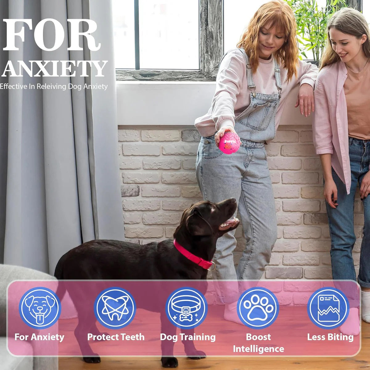 ZUFFIE Plastic Dog Toy Ball, Bouncy Fetch Ball for Small, Medium & Large Dogs, Fun Play & Teething Toy - Pink