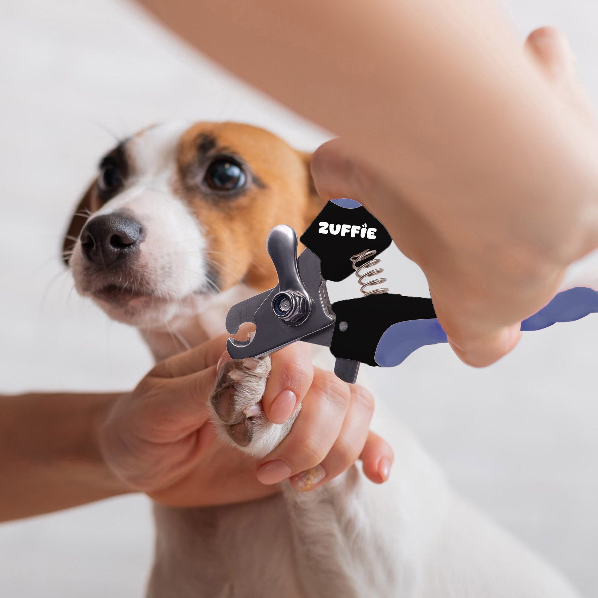 ZUFFIE Pet Nail Clipper & File for Dogs & Cats – Safe, Easy Grooming Tool Set - Blue and Black