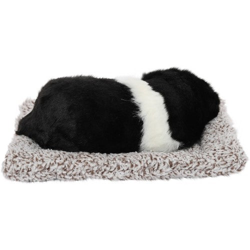 VOILA Sleeping Cute Dog (Black and White) on Carpet for Vehicle (Auto, Car, Bus, Truck) Dashboard and Home Decor