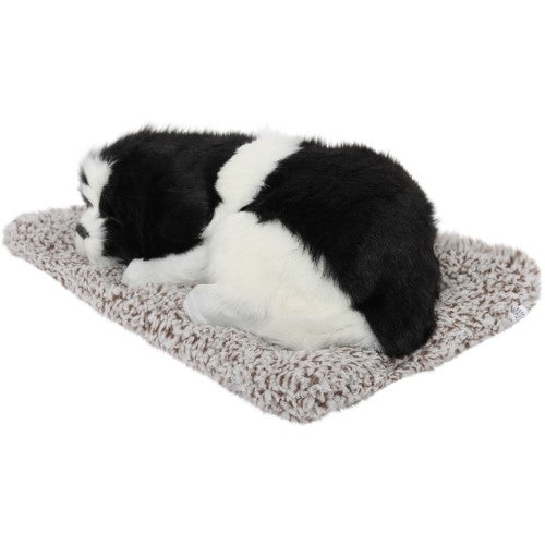 VOILA Sleeping Cute Dog (Black and White) on Carpet for Vehicle (Auto, Car, Bus, Truck) Dashboard and Home Decor