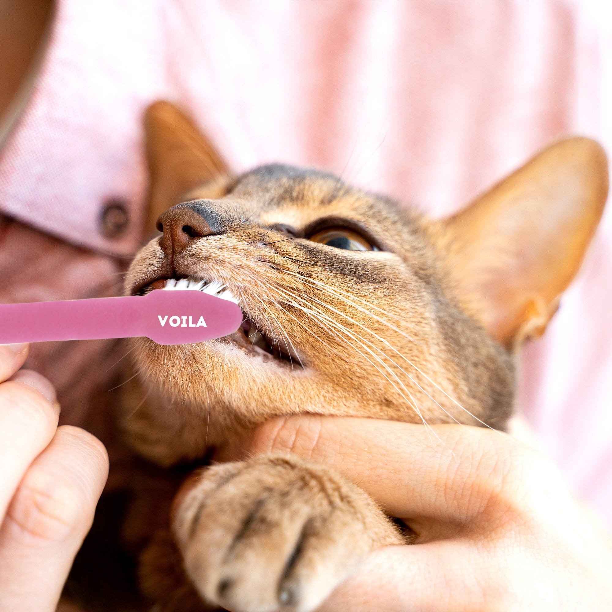 ZUFFIE Dual-Ended Tooth Brush for Dogs with Premium Hard Bristles - Pink