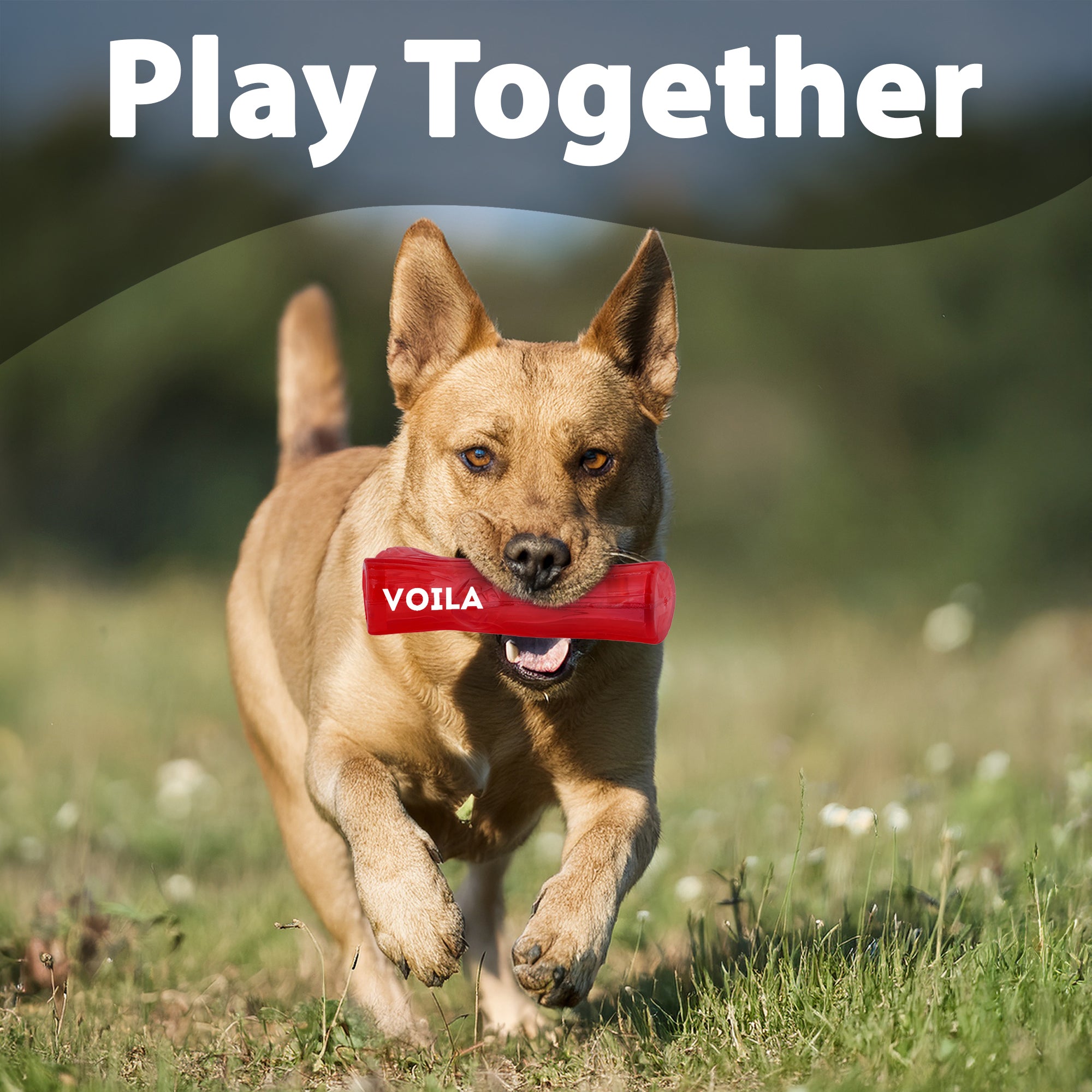 ZUFFIE Branch Shape Dog Chew Toy, Interactive Puppy Teething Aid - Red