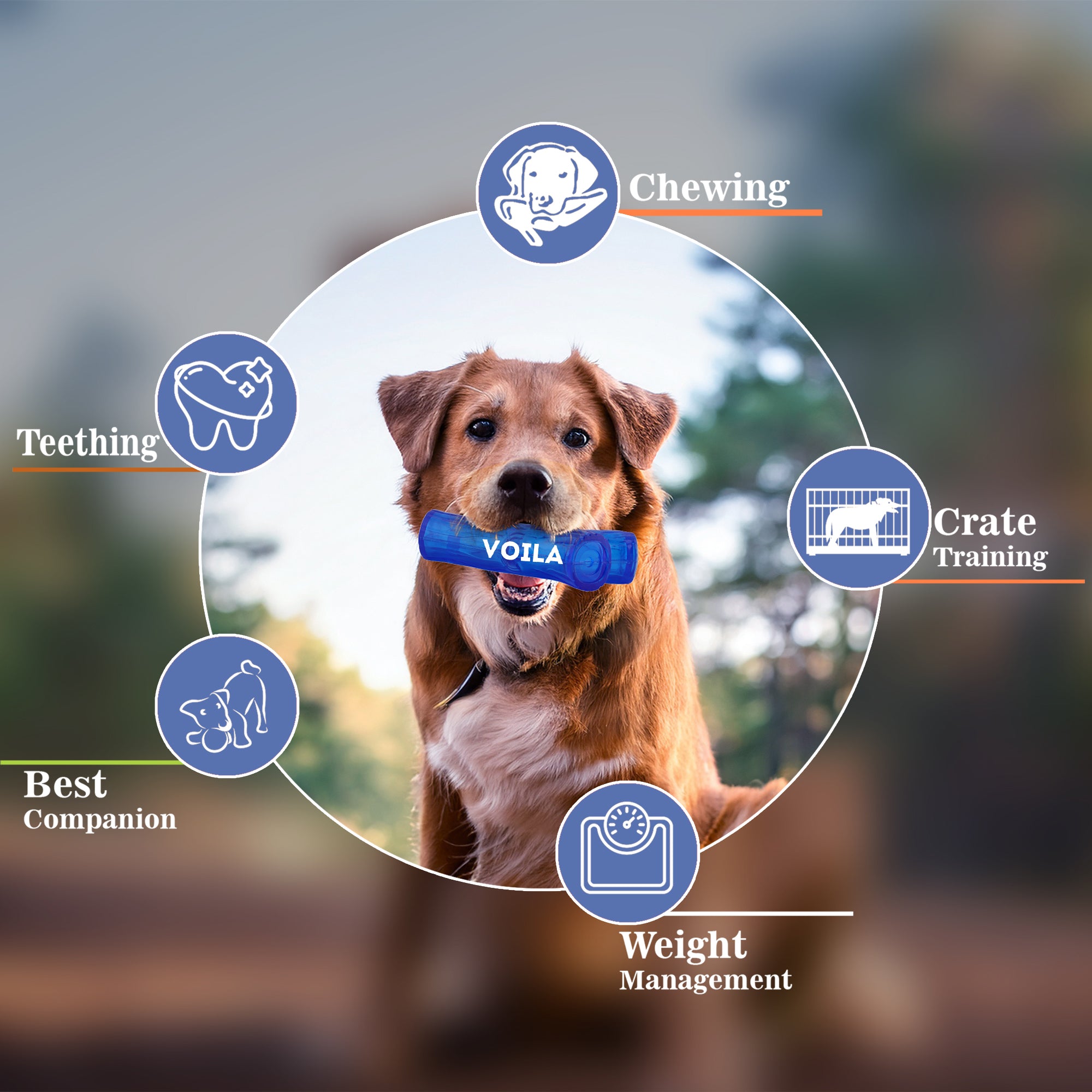 ZUFFIE Branch Shape Dog Chew Toy, Interactive Puppy Teething Aid - Blue