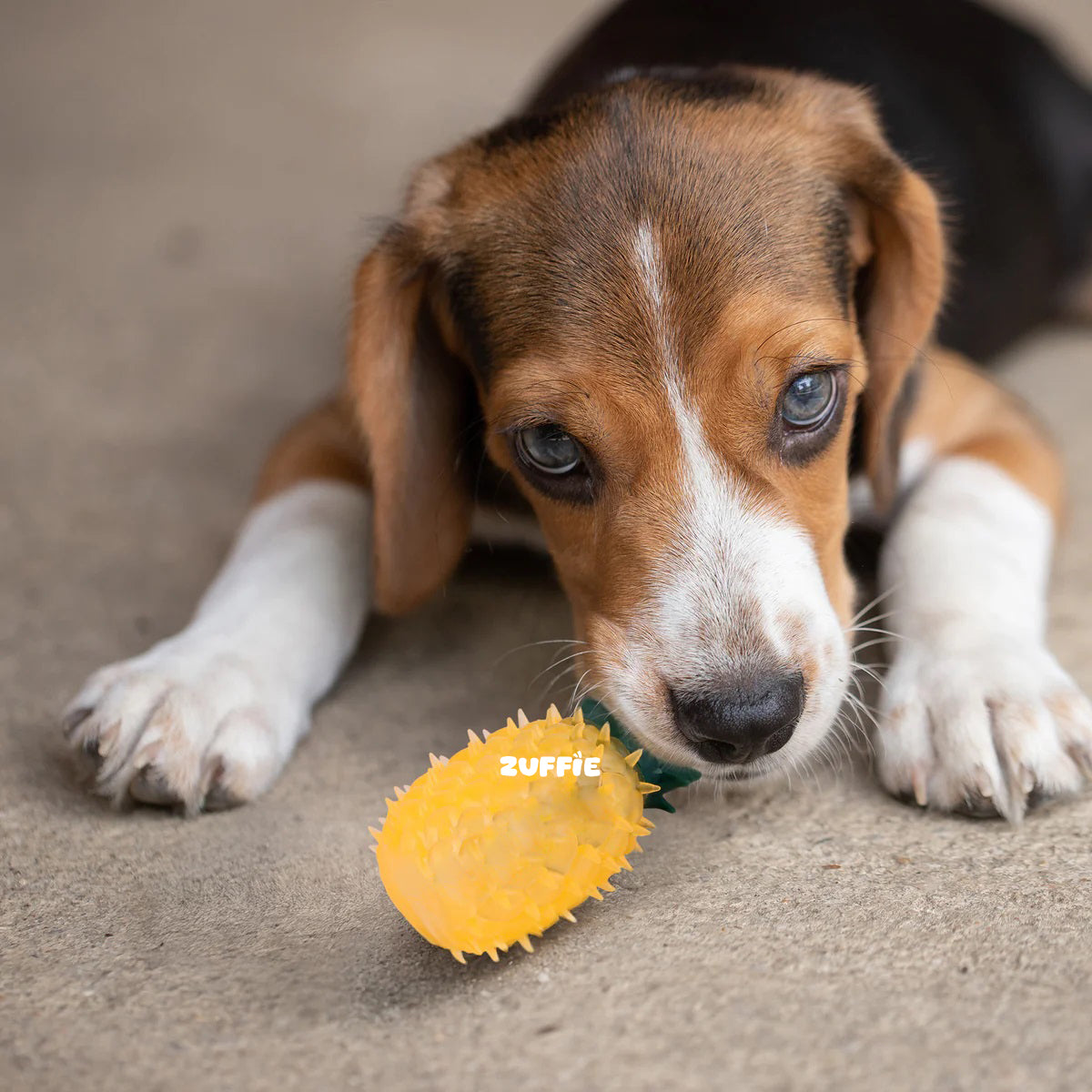 ZUFFIE Pineapple Dog Chew Toy – Squeaky, Spiky Toy for Small & Medium Breeds - Yellow