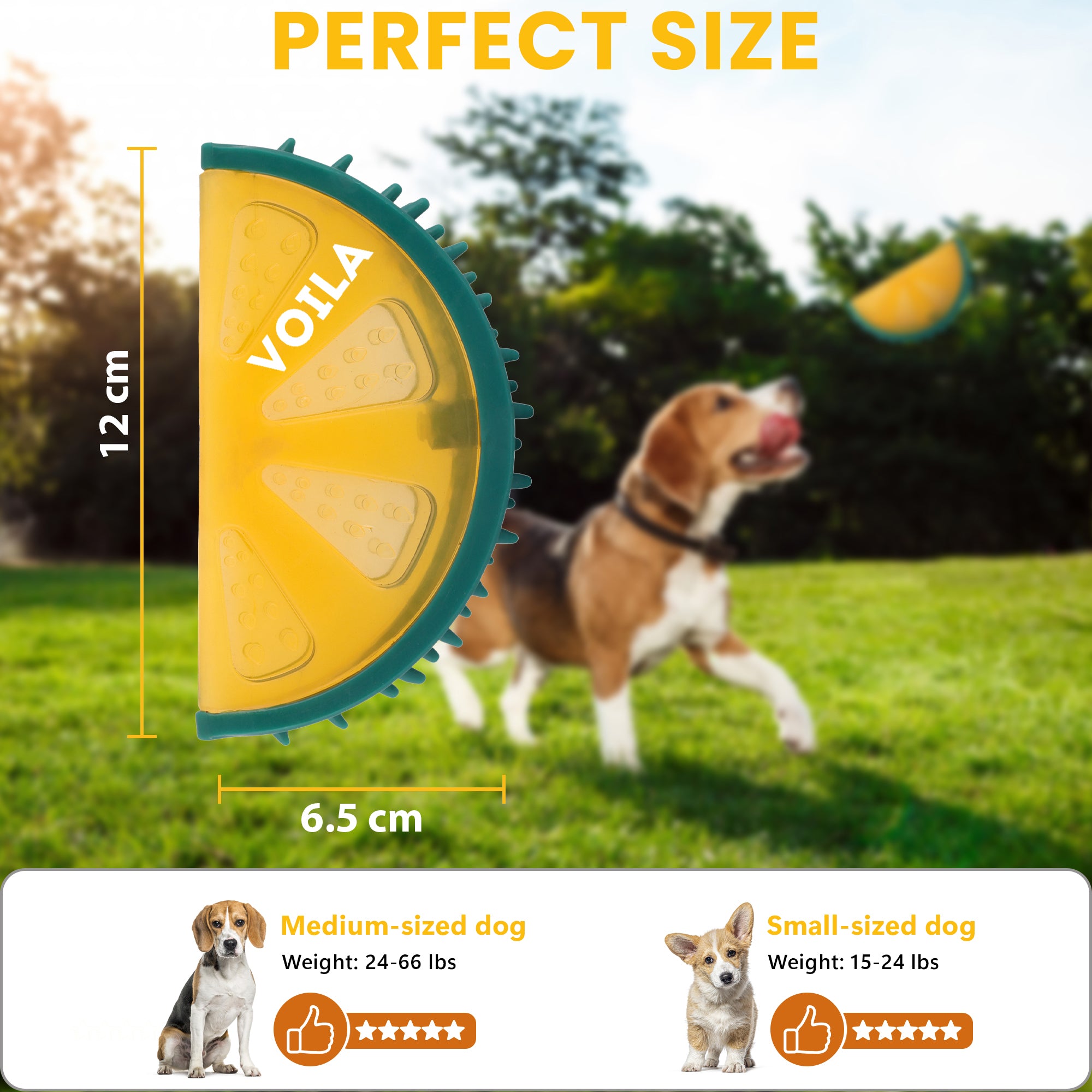 ZUFFIE Lemon Slice Dog Chew Toy – Squeaky Interactive Pet Toy - Yellow