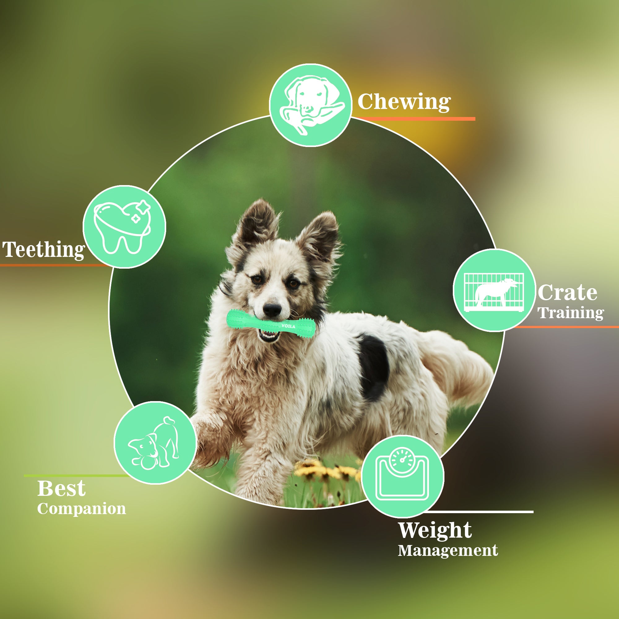 ZUFFIE Dog Chew Toy – Tough Spiky Stick for Medium & Large Pets- Green