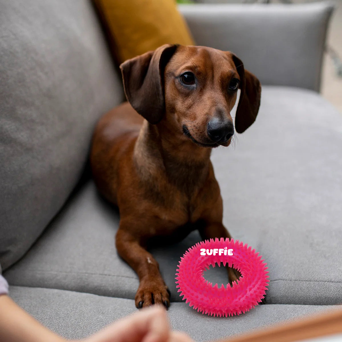 ZUFFIE Ring Shaped Dog Chew Toy – Spiked Toy for Small, Medium & Large Breeds- Magenta