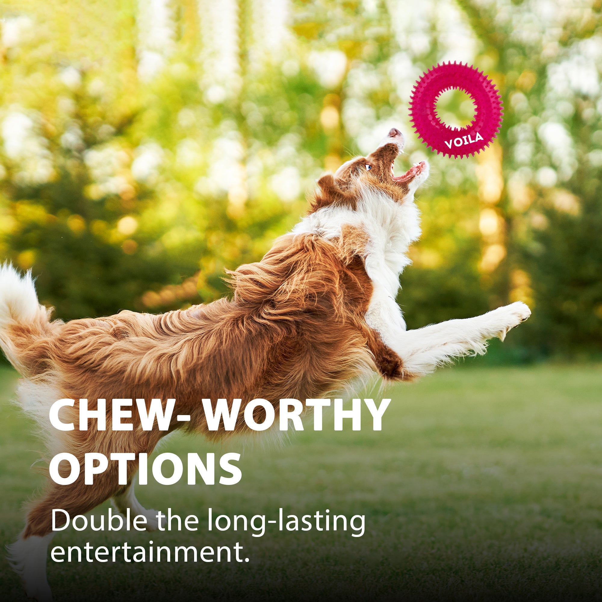 ZUFFIE Ring Shaped Dog Chew Toy – Spiked Toy for Small, Medium & Large Breeds- Magenta