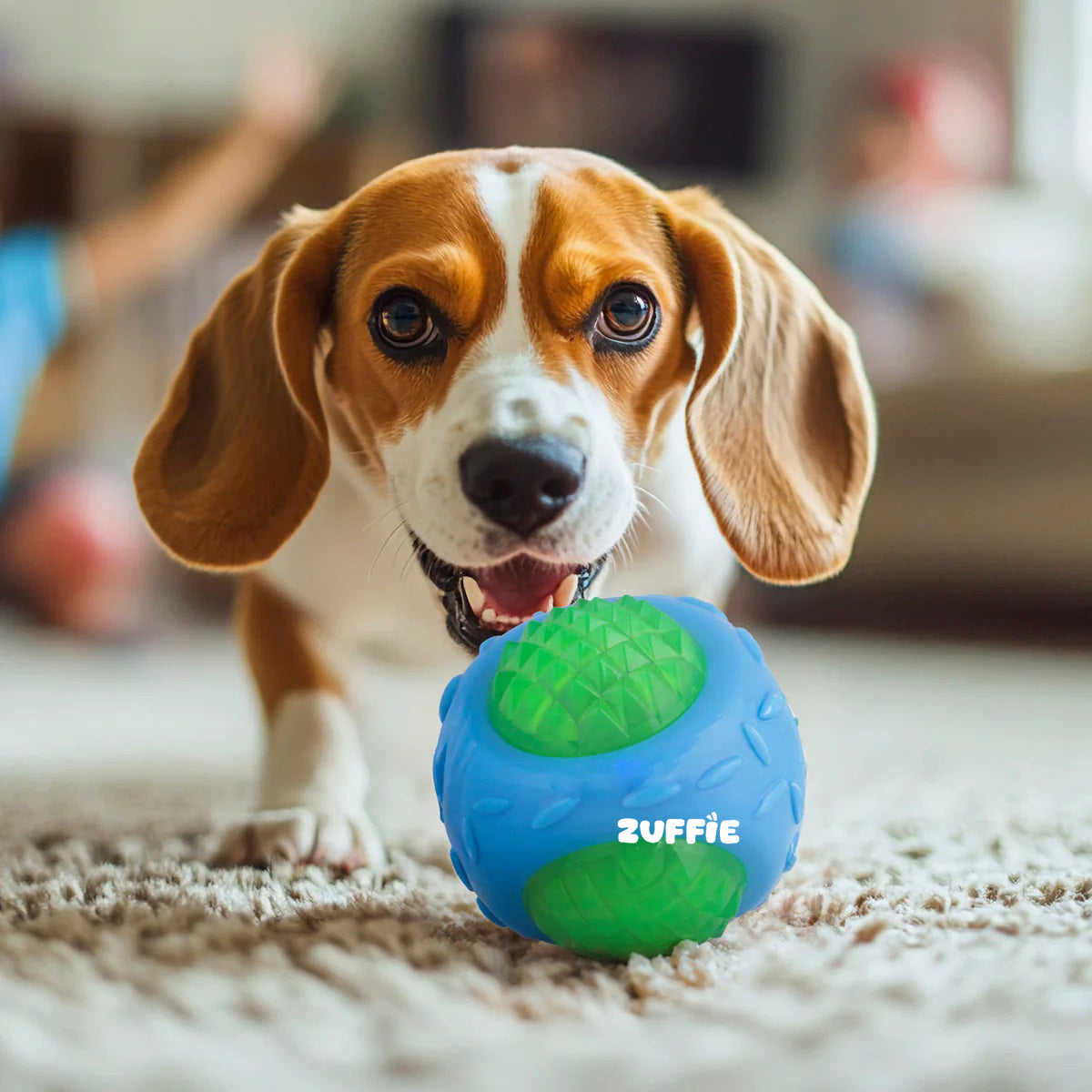 ZUFFIE Flashing Ball Dog Chew Toy for Small, Medium & Large Dogs - Green & SkyBlue